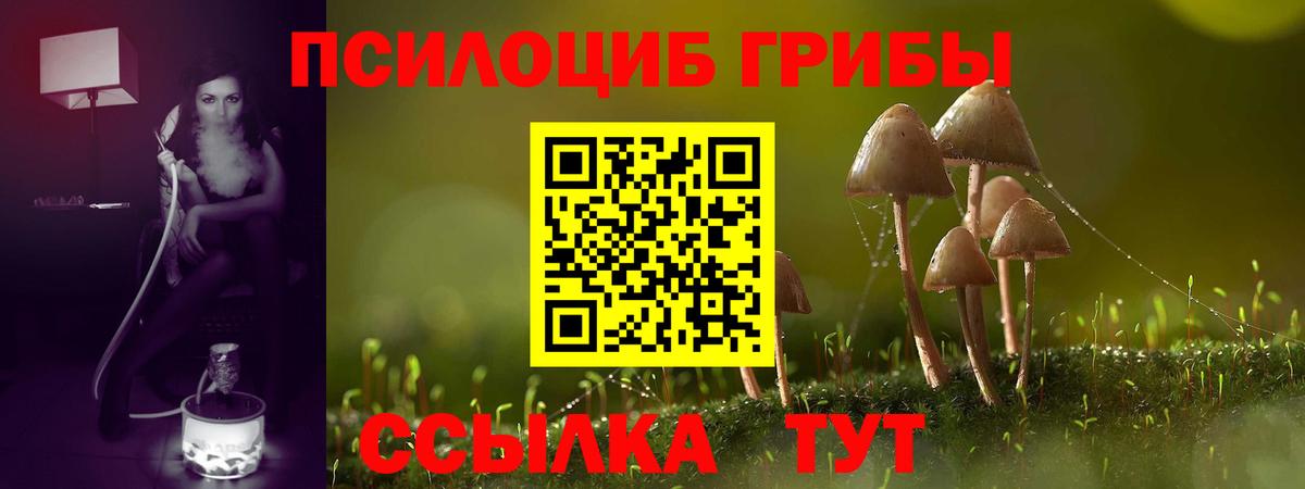 Галлюциногенные грибы прущие грибы  Вход с VPN  Псилоцибиновые грибы мицелий  Шумерля 