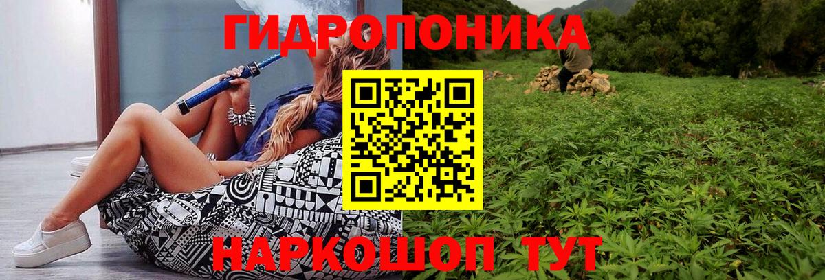 Каннабис семена Шумерля